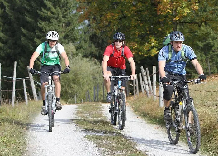 Bed & Breakfast Der Braeuschmied Lofer